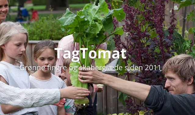 TagTomat GROW LIKE TOMORROW – Artikel: "Urban farm leverer lokalt og bæredygtigt mikrogrønt"